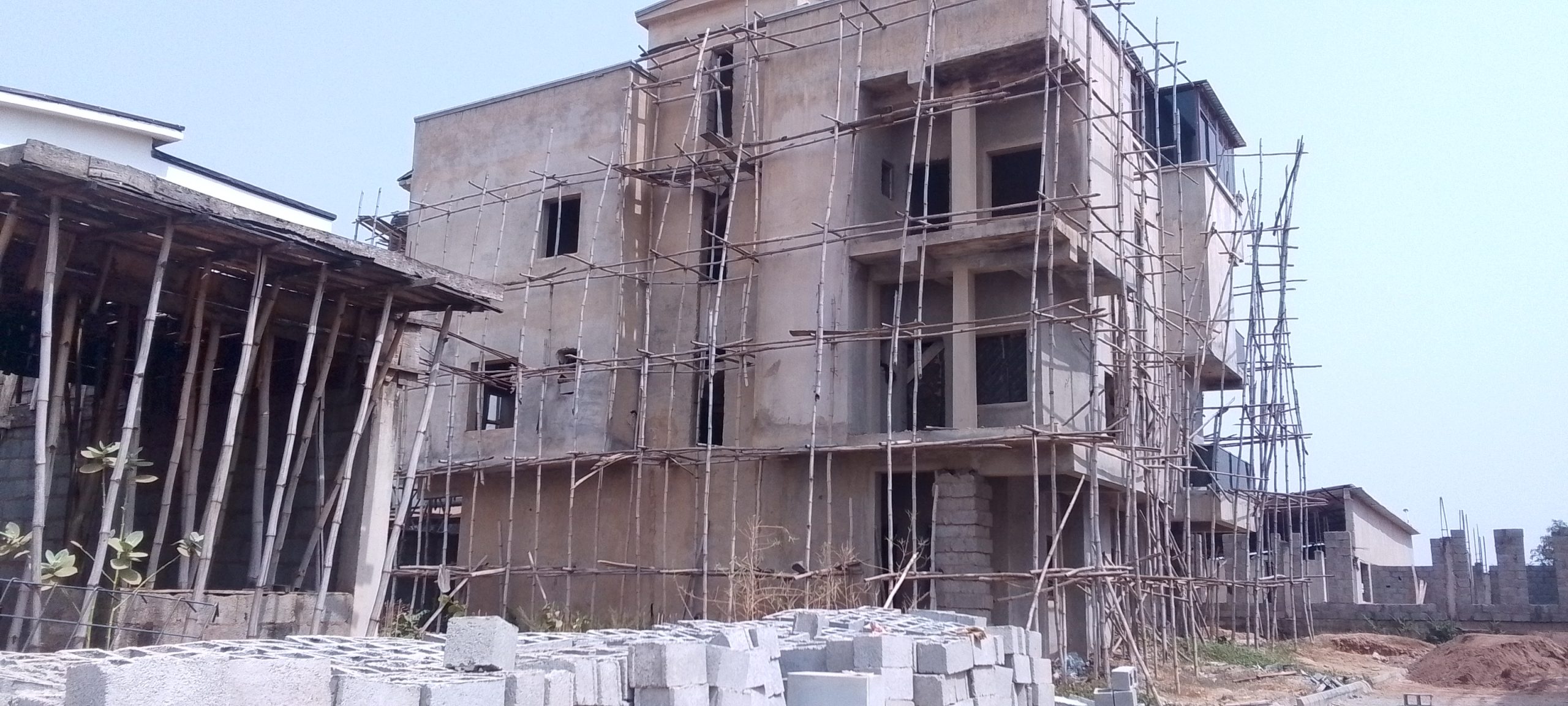 IMG_20260128_120138_313